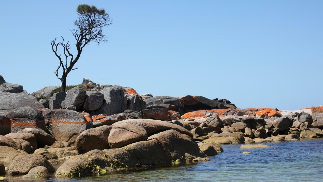 Bay Of Fires Seachange Ocean Frontage Binalong Bay Exterior foto